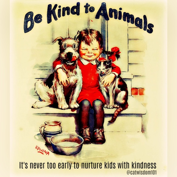 Meet your Posher, DD - Picture 6 of 9